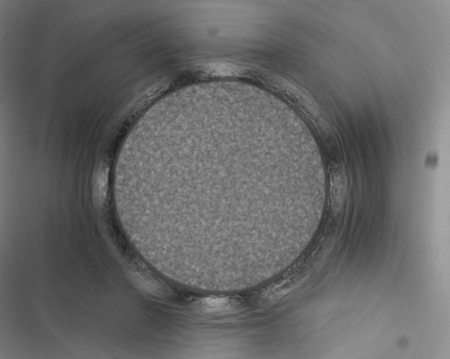 X0000116480406201001201346