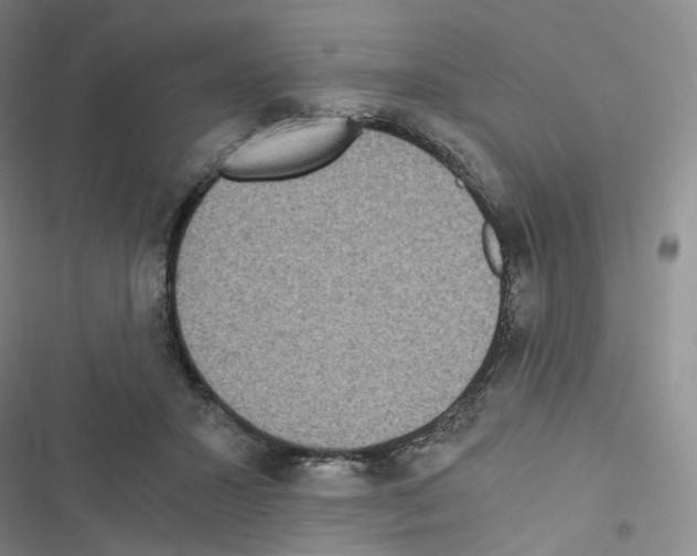 X0000116480407201001201346