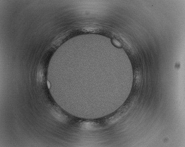 X0000116480408201001201346