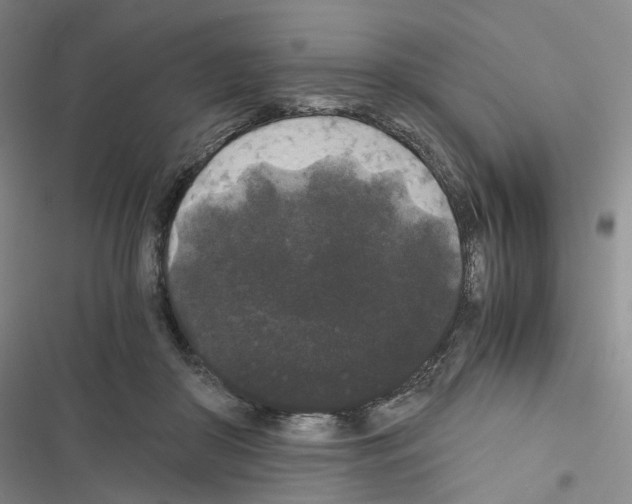 X0000116480410201001201346