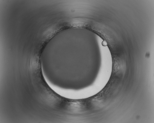 X0000116480411201001201346