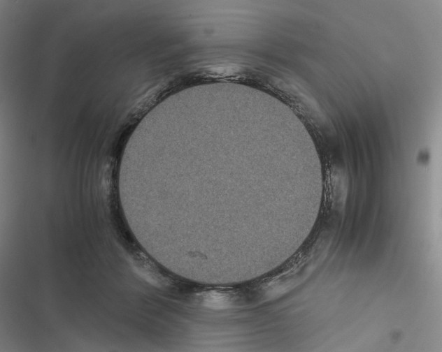 X0000116480412201001201346
