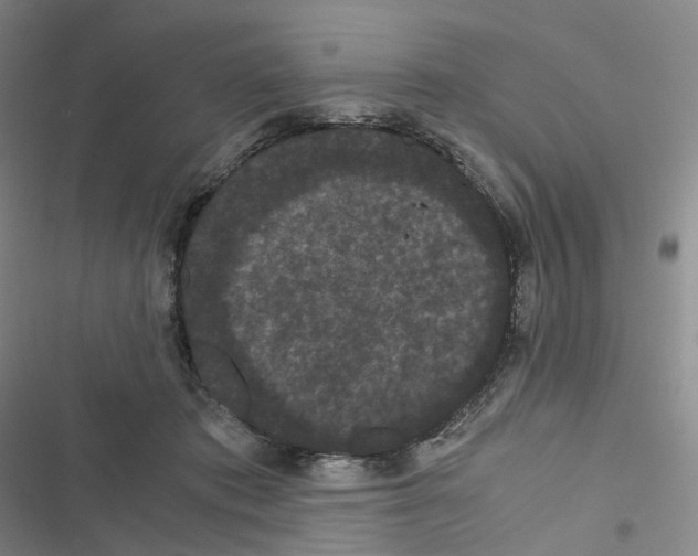 X0000116480413201001201346
