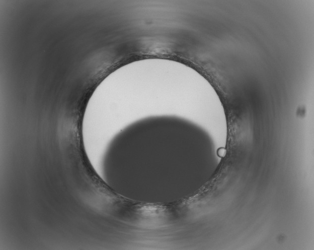 X0000116480415201001201346