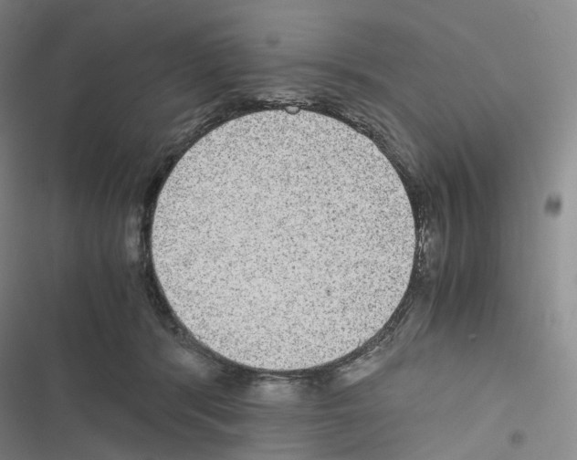 X0000116480416201001201346