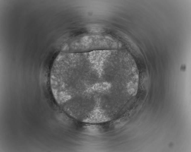 X0000116480417201001201346