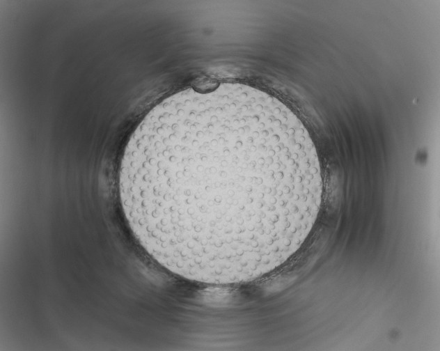 X0000116480418201001201346