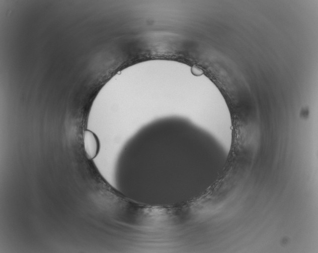 X0000116480419201001201346