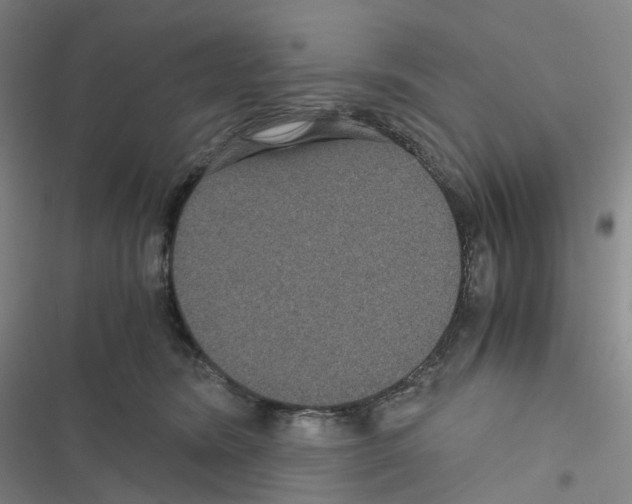 X0000116480420201001201346