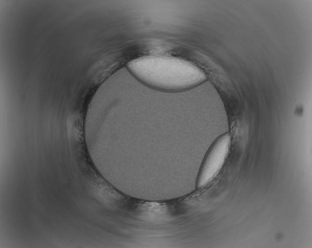 X0000116480421201001201346