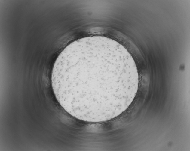 X0000116480422201001201346