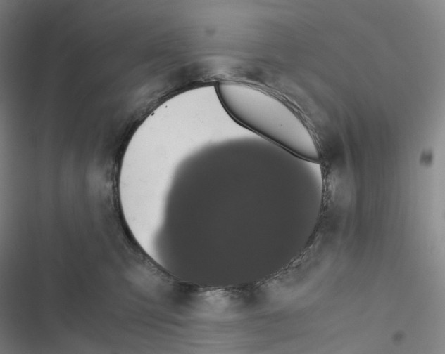 X0000116480423201001201346