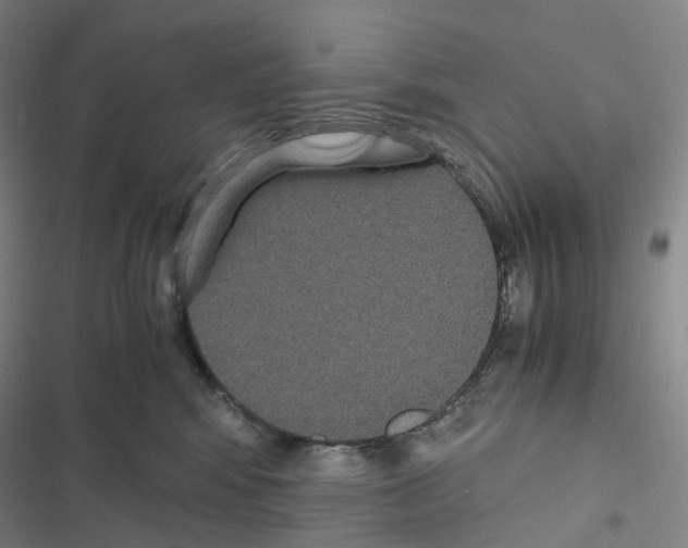 X0000116480424201001201346