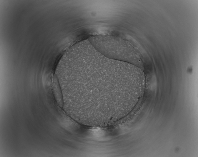 X0000116480425201001201346