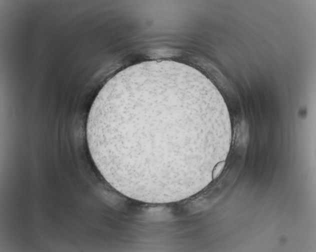 X0000116480426201001201346