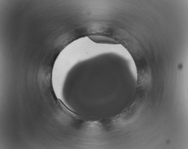 X0000116480427201001201346