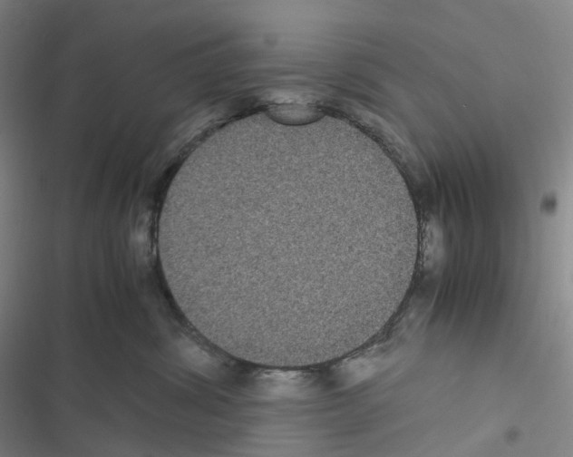 X0000116480428201001201346