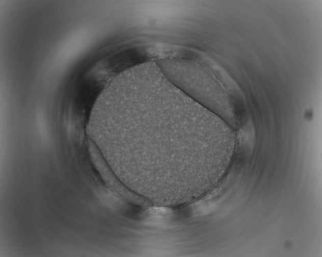 X0000116480429201001201346