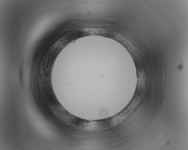 X0000116480430201001201346