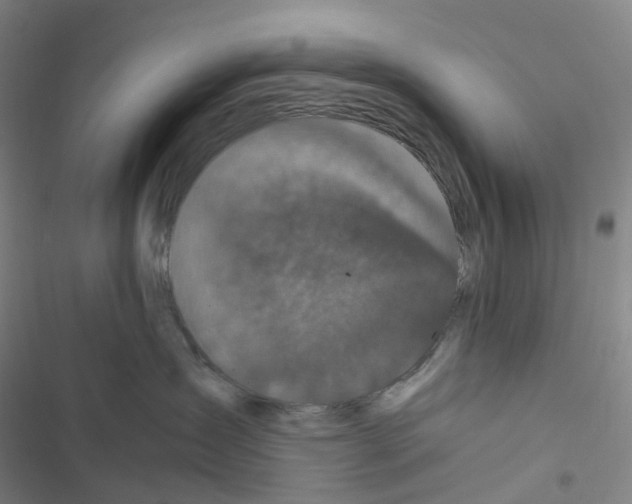 X0000116480431201001201346