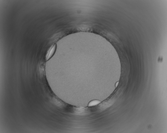 X0000116480432201001201346