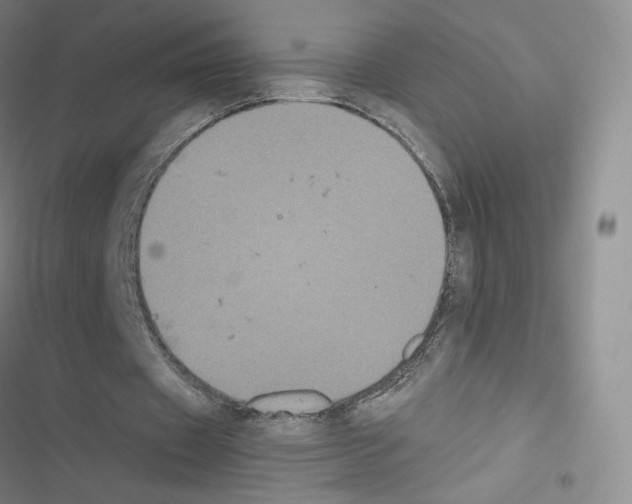 X0000116480433201001201345