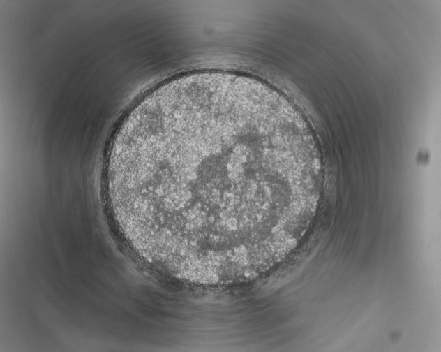X0000116480434201001201345