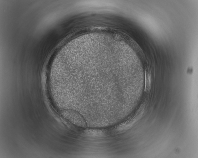 X0000116480435201001201345