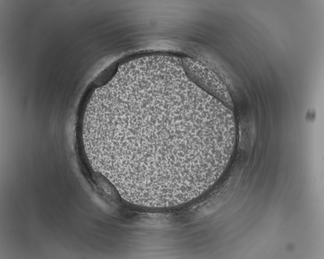 X0000116480436201001201345