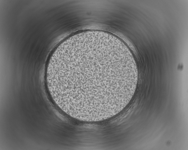 X0000116480437201001201345