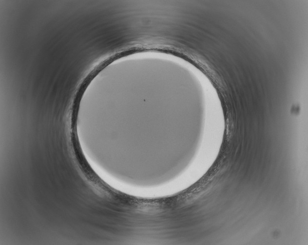 X0000116480438201001201345