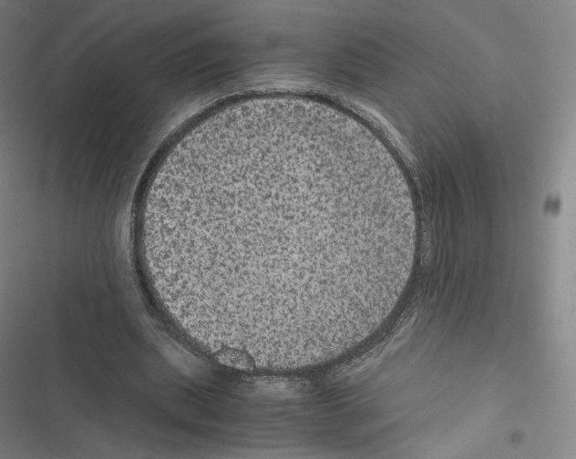 X0000116480439201001201345