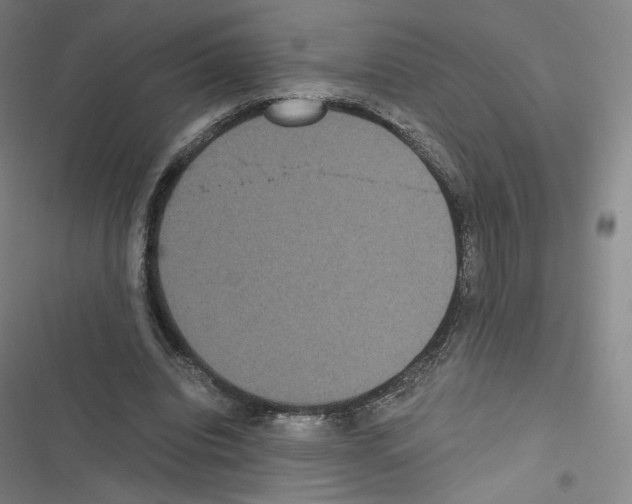 X0000116480440201001201345