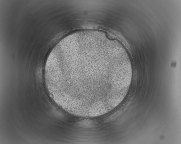 X0000116480441201001201345