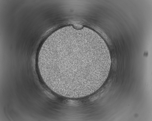X0000116480442201001201345