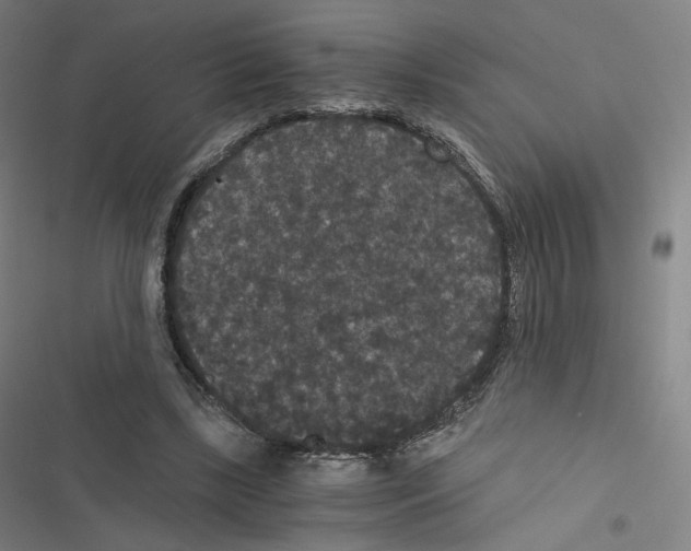 X0000116480443201001201345