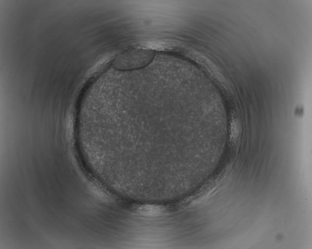 X0000116480444201001201346