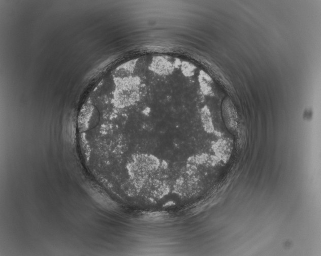 X0000116480446201001201346