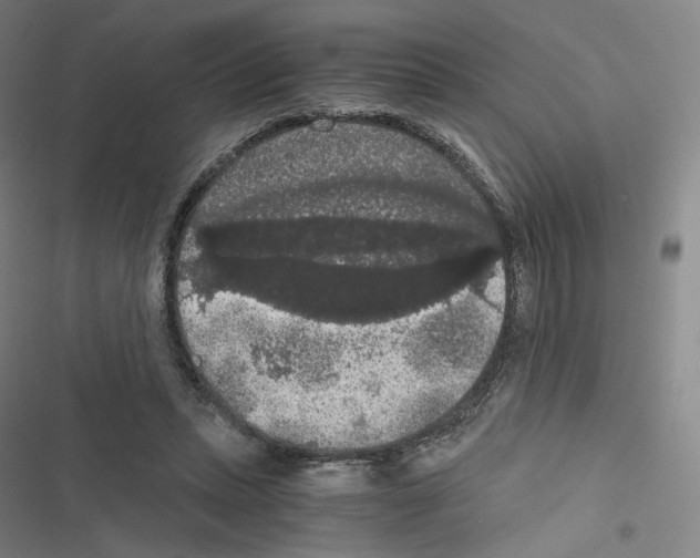 X0000116480447201001201346
