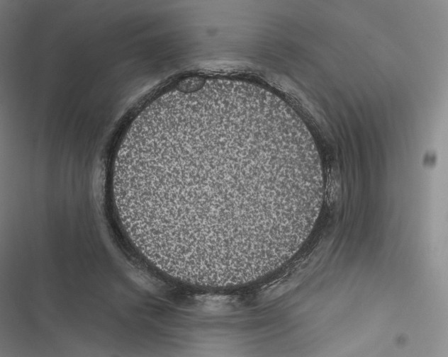 X0000116480448201001201346