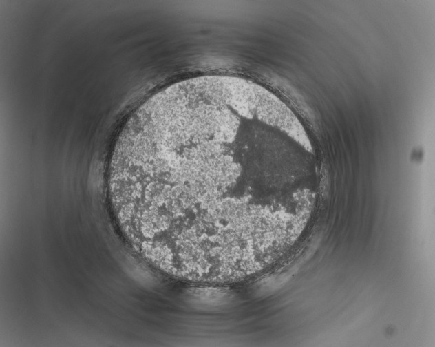 X0000116480449201001201346