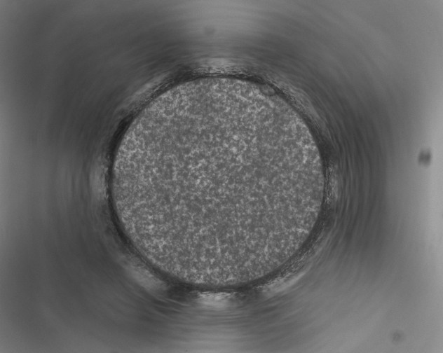 X0000116480450201001201346