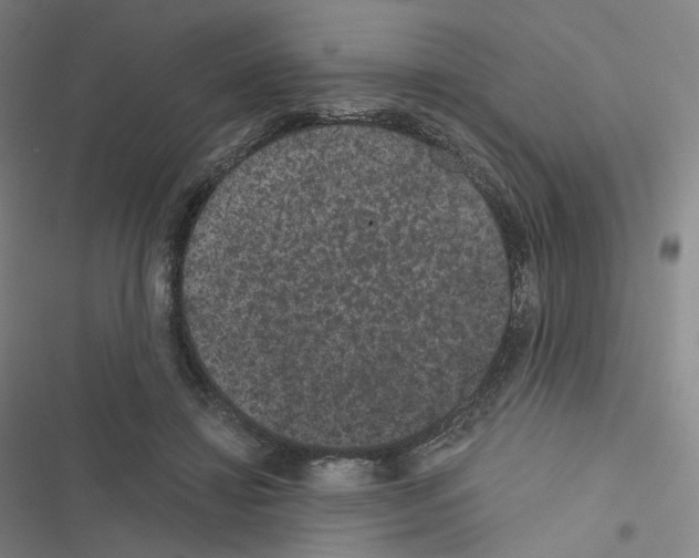 X0000116480452201001201346