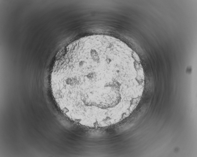 X0000116480453201001201346