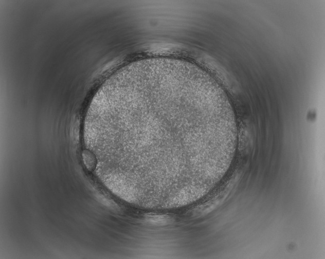 X0000116480454201001201346