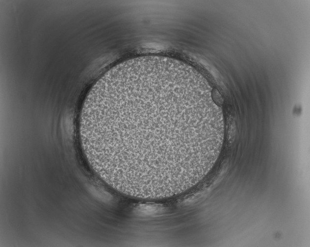 X0000116480455201001201346
