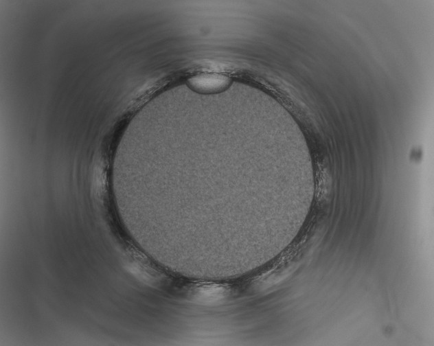 X0000116480456201001201346
