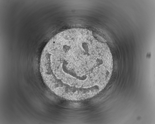 X0000116480457201001201346