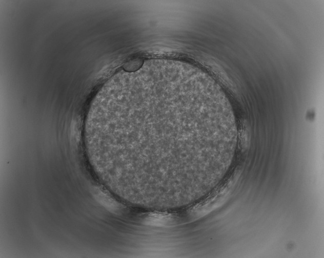 X0000116480458201001201346