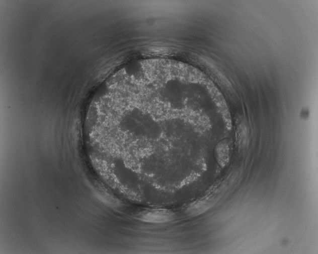 X0000116480459201001201346
